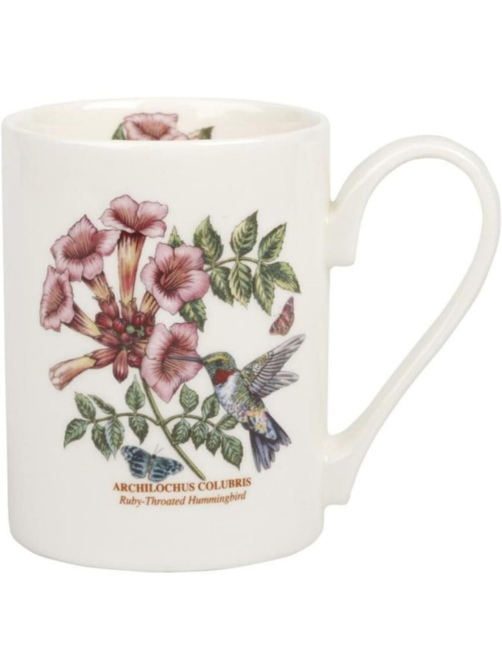 12oz Ceramic Tankard Mug with Hummingbird Design - Chip-Resistant, Safe for All